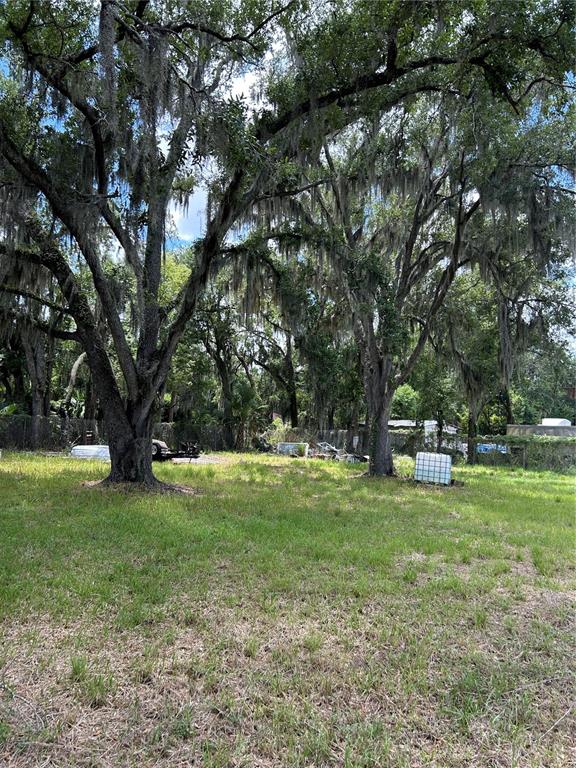 A grassy lot features several large, moss-draped oak trees and scattered debris — 0 N WARNELL STREET, PLANT CITY, FL