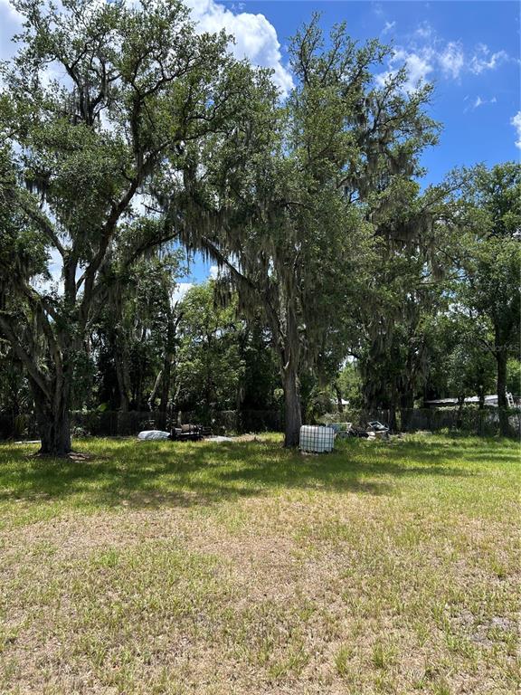 A grassy, open lot features several large, moss-draped oak trees under a blue sky — 0 N WARNELL STREET, PLANT CITY, FL