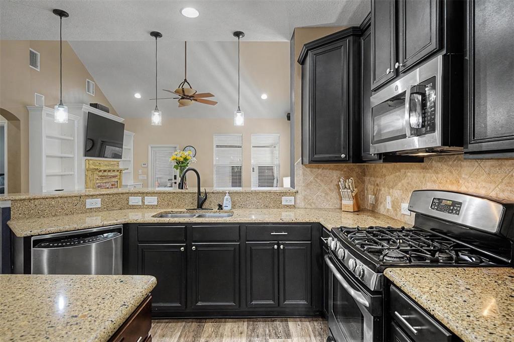 A kitchen features dark cabinets, granite countertops, stainless steel appliances, and a view into the living area — 3534 DIAZ STREET, NEW PORT RICHEY, FL