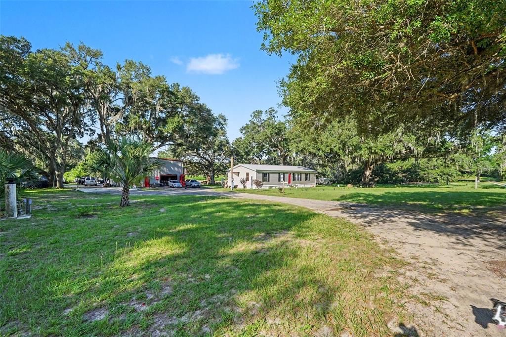 A single-story house and a detached garage sit on a large, tree-filled grassy lot — 12709 CHIHUAHUA COURT, THONOTOSASSA, FL
