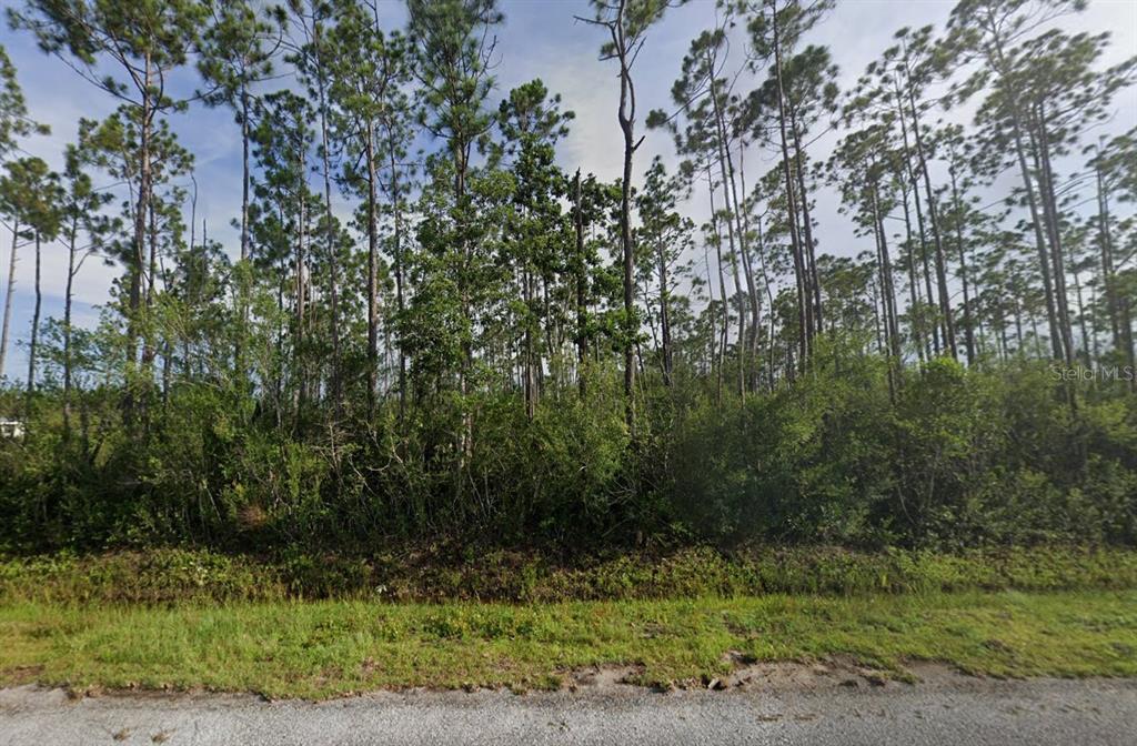 A dense wooded lot with tall pine trees sits behind a grassy roadside verge — 263 WILDWOOD DRIVE, PANAMA CITY, FL