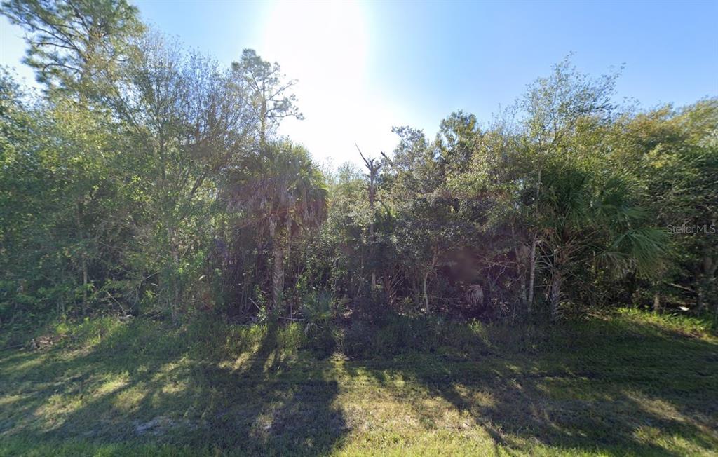 A dense, wooded lot with various trees and shrubs under a bright, sunny sky — 23177 TROY AVENUE, PORT CHARLOTTE, FL
