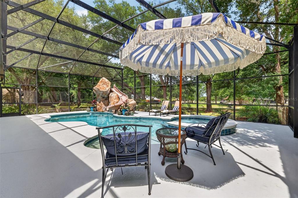 An aerial view shows a house with a screened-in pool and a boat parked alongside — 250 N WALKER STREET, OAKLAND, FL