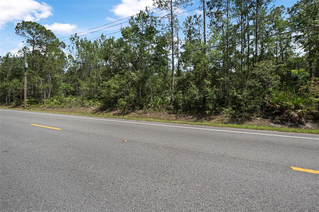 5875 MAHOGANY BOULEVARD, BUNNELL, FL — photo 2 of 19