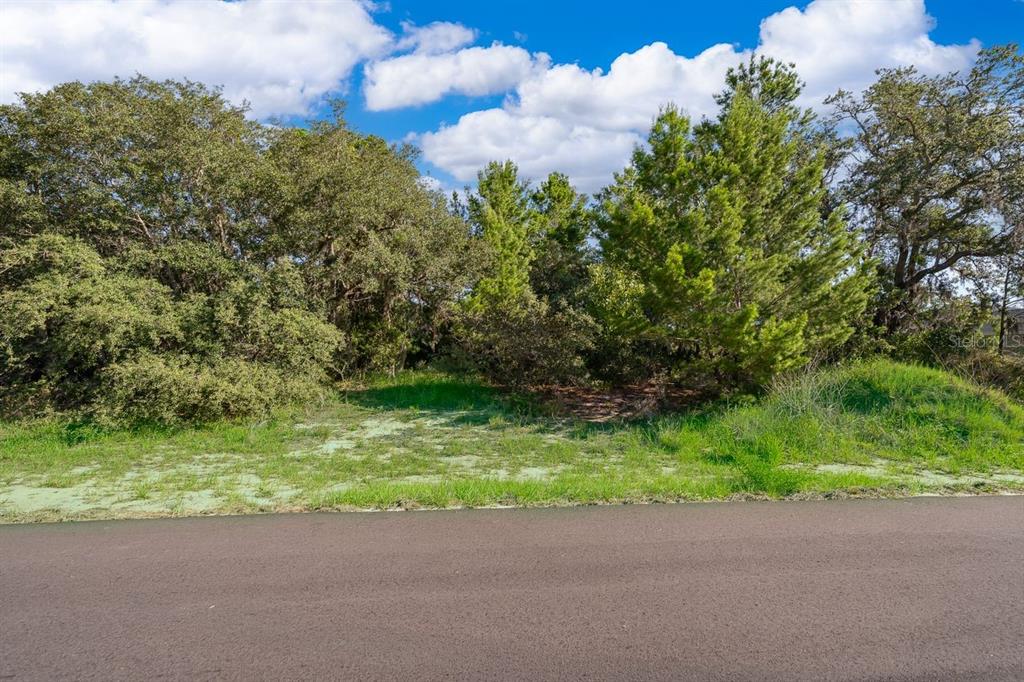 A paved road runs in front of a wooded, grassy vacant lot under a blue sky — 2017 MAPLE LANE, POINCIANA, FL