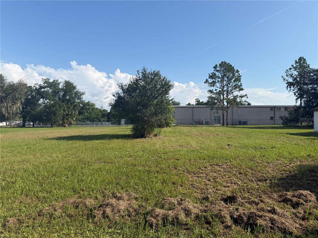 A large, grassy vacant lot features a single tree in the center under a blue sky — 904 N WALDRON STREET, ARCADIA, FL