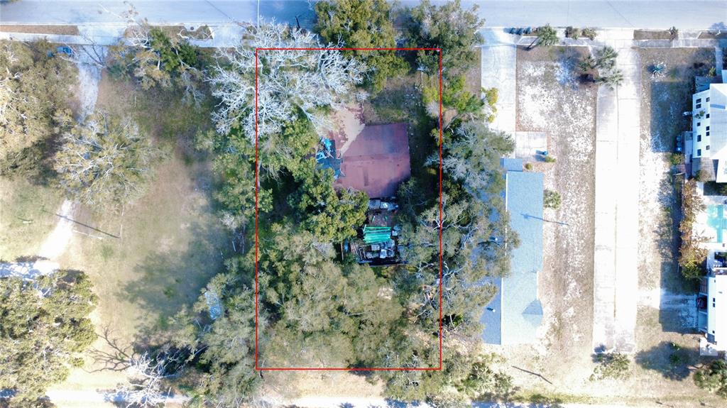 1136 DOUGLAS AVENUE, DUNEDIN, FL — photo 5 of 9