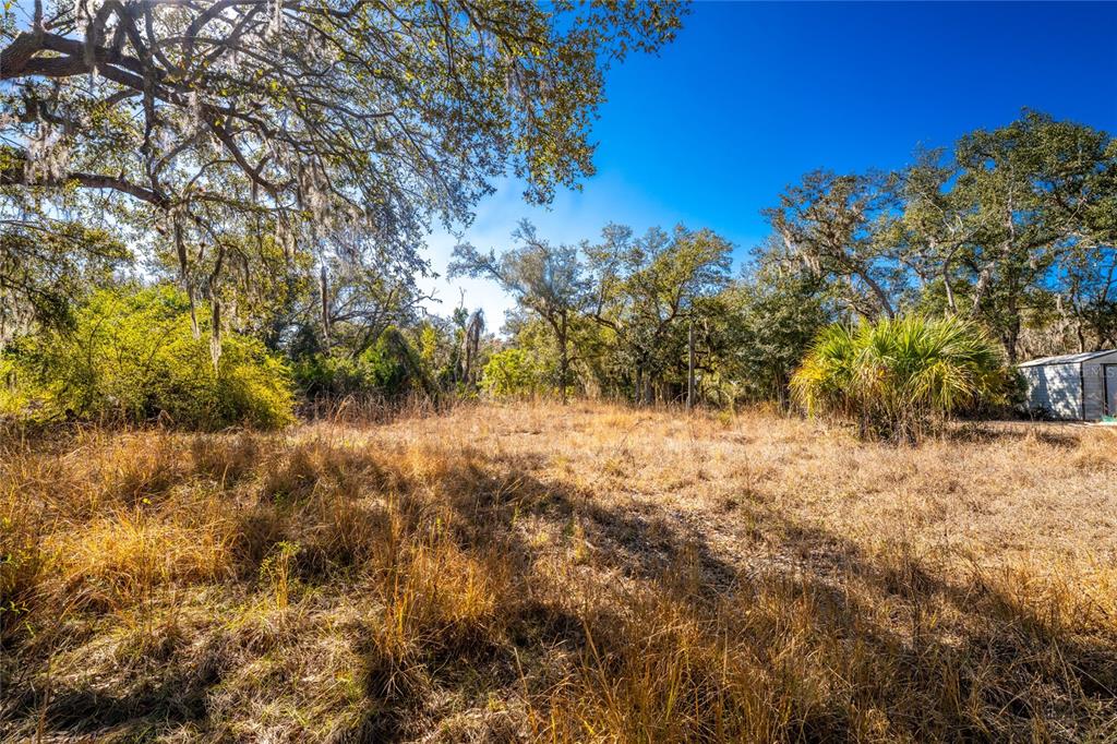 A grassy, undeveloped lot features scattered trees and a small shed under a clear sky — 27362 SAN CARLOS DRIVE, PUNTA GORDA, FL