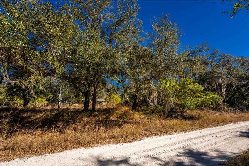 A dirt road runs alongside a wooded lot with tall trees and dry grass — 27362 SAN CARLOS DRIVE, PUNTA GORDA, FL
