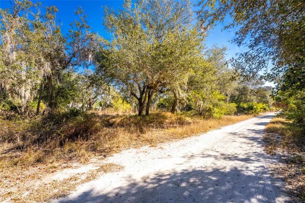 A dirt road runs alongside a wooded lot with tall trees and dry grass — 27362 SAN CARLOS DRIVE, PUNTA GORDA, FL