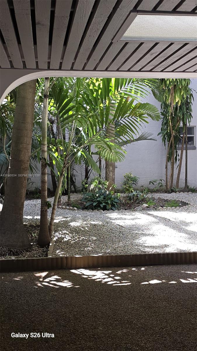 A view of a gravel courtyard with palm trees and plants under a covered patio — 8107 SW 72nd Ave # 423E, Miami FL 33143, MIAMI, FL