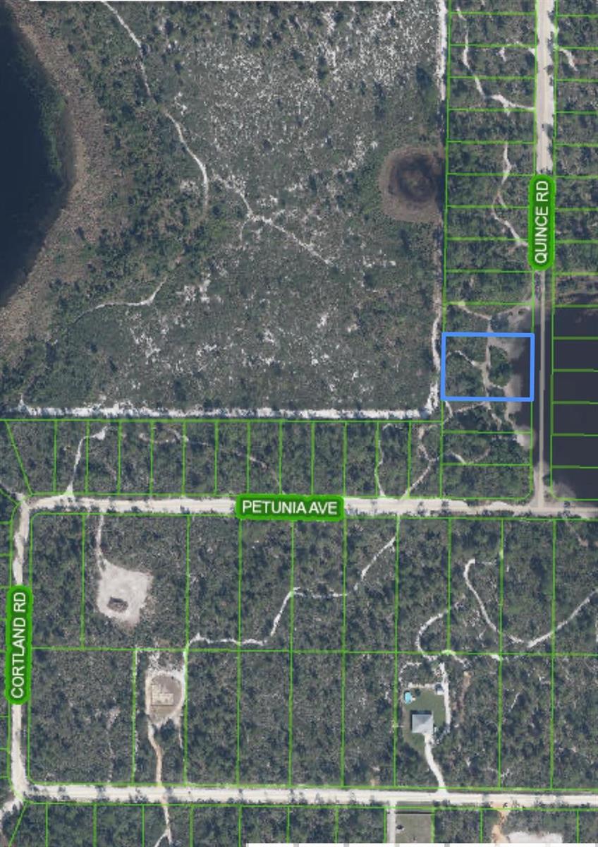 This is an aerial map showing a vacant lot highlighted in blue near a road — 5915 Quince Road, Sebring FL 33875, SEBRING, FL