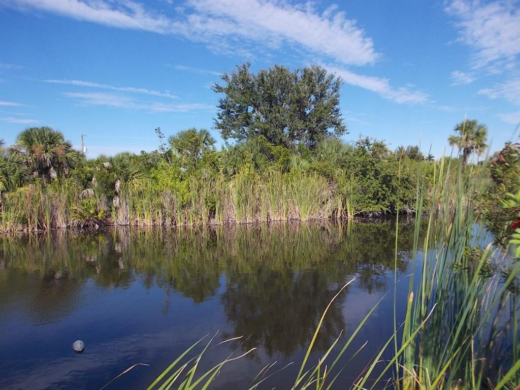 A view of a pond surrounded by tall grasses, shrubs, and trees under a blue sky — 14350 MAYSVILLE CIRCLE, PORT CHARLOTTE, FL
