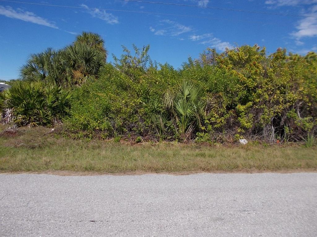 A vacant, overgrown lot with dense vegetation and palm trees borders a paved road — 14350 MAYSVILLE CIRCLE, PORT CHARLOTTE, FL