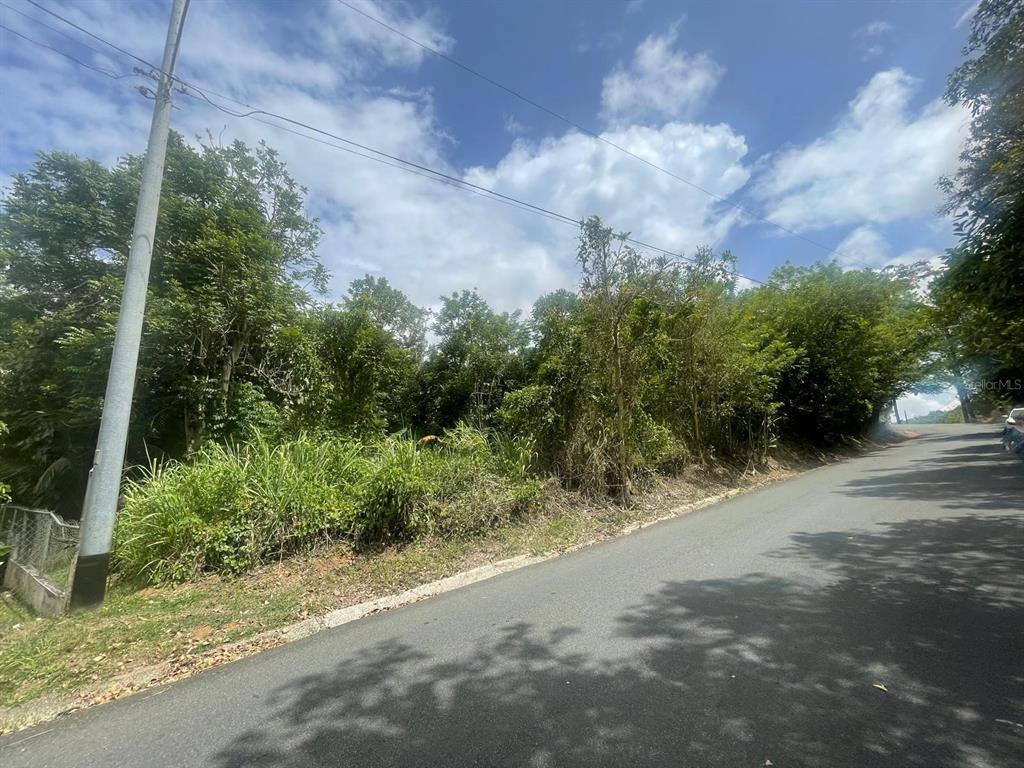 A sloped, wooded lot sits beside a paved road under a partly cloudy sky — BO. ARENAS CARR PR-734 KM 6.3, CIDRA, PR