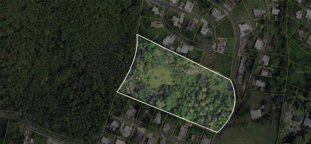 This is an aerial map showing a wooded, undeveloped plot of land outlined in white — BO. ARENAS CARR PR-734 KM 6.3, CIDRA, PR