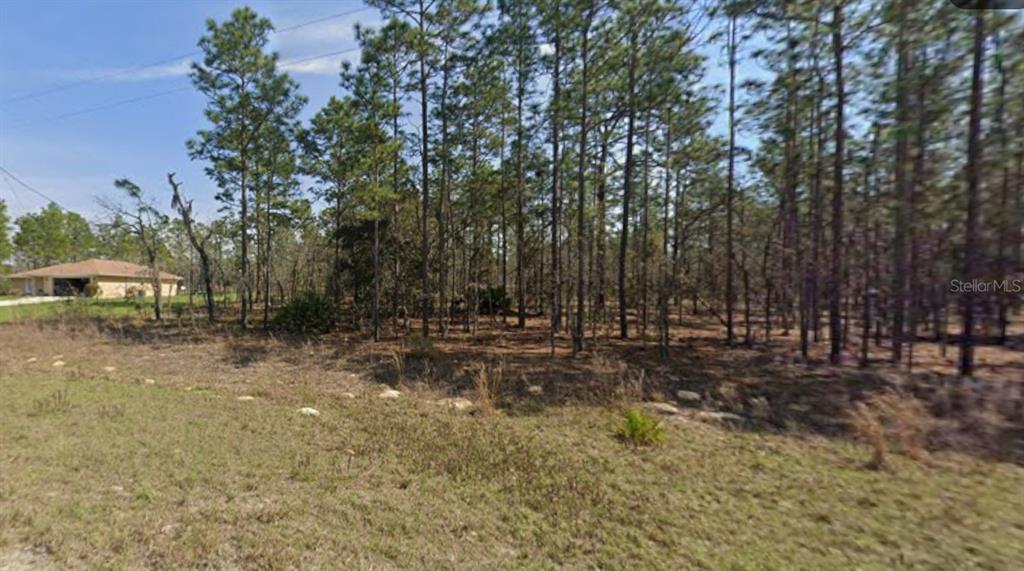 A vacant, wooded lot with a neighboring house visible in the background — 0 SW 125TH COURT RD, OCALA, FL