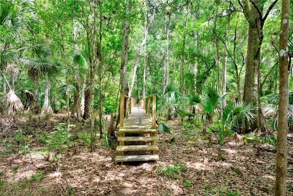 A wooden staircase leads to an elevated boardwalk path through a lush, forested area — 2500 ARBUCKLE SHORES ROAD, FROSTPROOF, FL