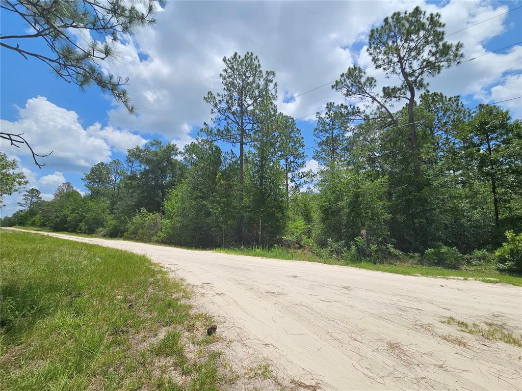 A dirt road runs alongside a wooded area under a cloudy blue sky — 0000 NE 40TH LANE, WILLISTON, FL