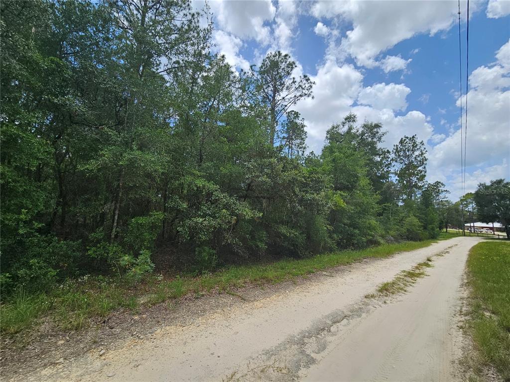 A dirt road runs alongside a densely wooded lot under a partly cloudy sky — 0000 NE 40TH LANE, WILLISTON, FL