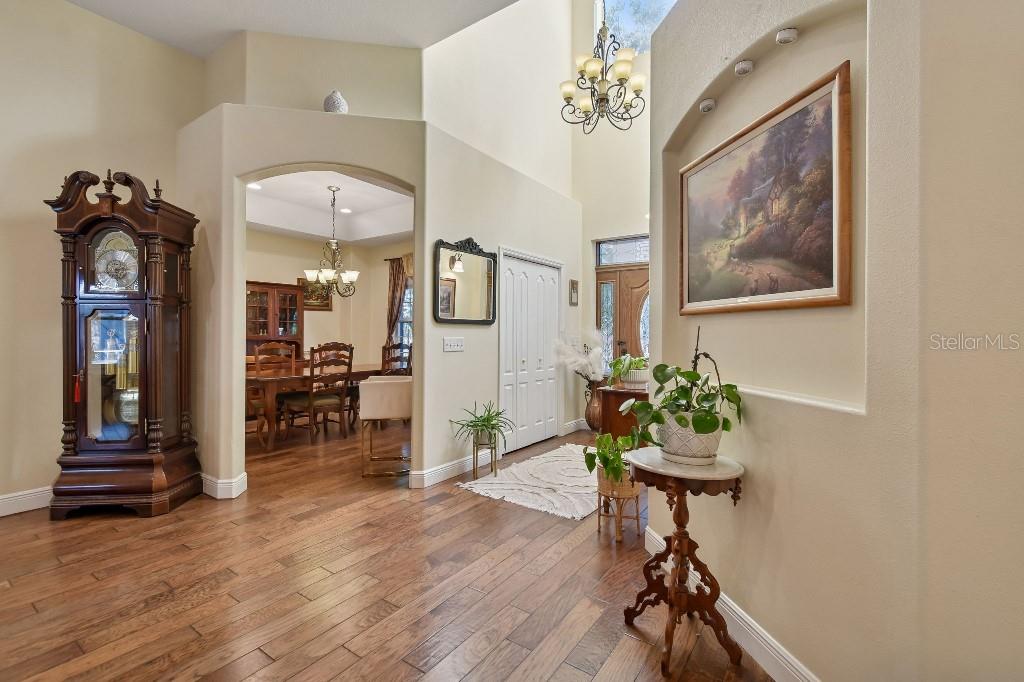 A foyer with wood flooring, a grandfather clock, and an arched entryway to a dining room — 3302 JAP TUCKER ROAD, PLANT CITY, FL