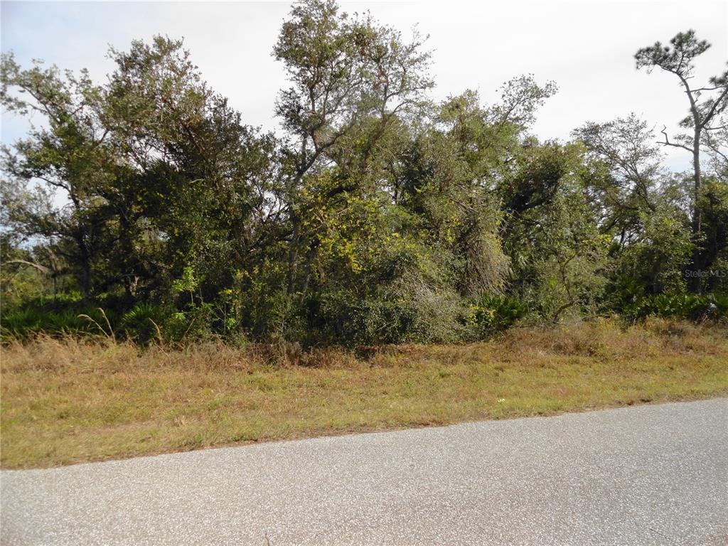 A paved road runs in front of a wooded lot with dense trees and brush — 17043 ARTHUR AVENUE, PORT CHARLOTTE, FL