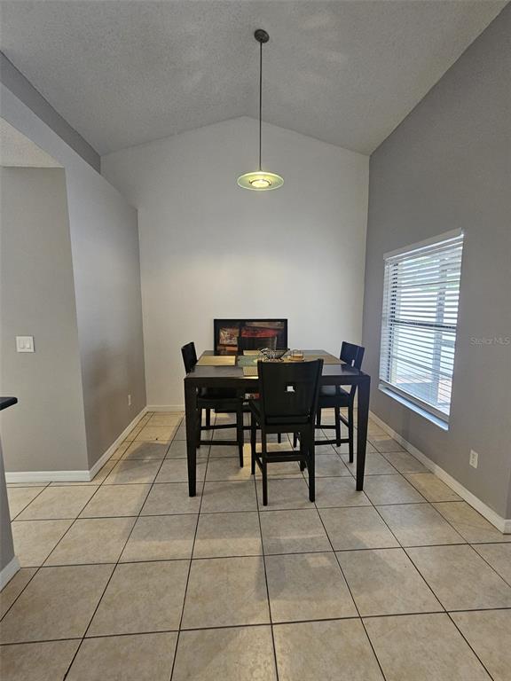 A dining area features a dark wood table with four chairs under a pendant light — 12718 TROWBRIDGE LANE, TAMPA, FL