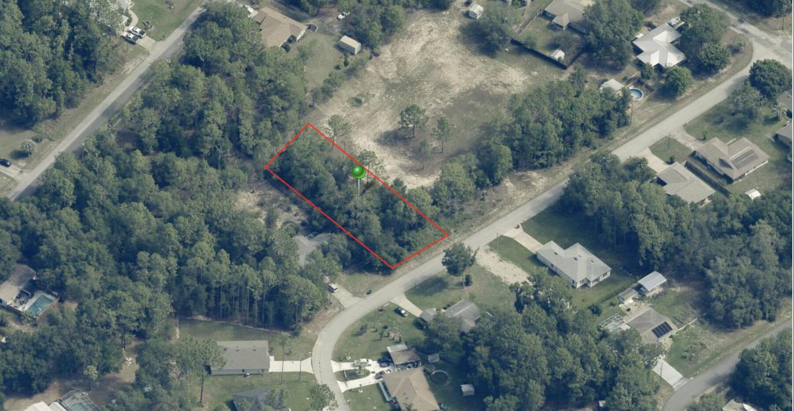 An aerial view shows a rectangular, tree-covered vacant lot outlined in red along a road — 9131 N Bertin Drive, FL 34434, FL