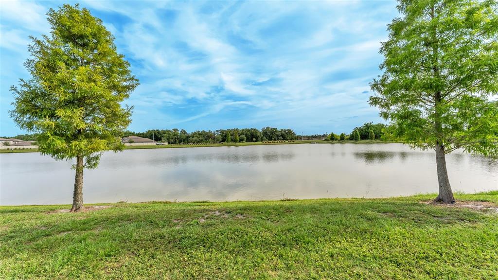A grassy lawn overlooks a calm lake with two trees framing the view — 5853 ARLINGTON RIVER DRIVE, LAKELAND, FL