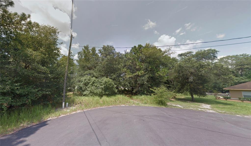 SPRING LOOP DRIVE