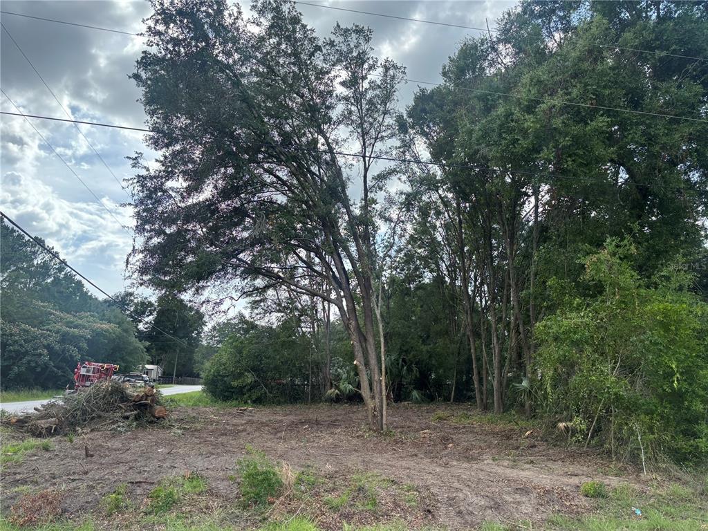 A cleared, vacant lot features several large trees and a pile of cut branches — NW 15TH LANE, OCALA, FL