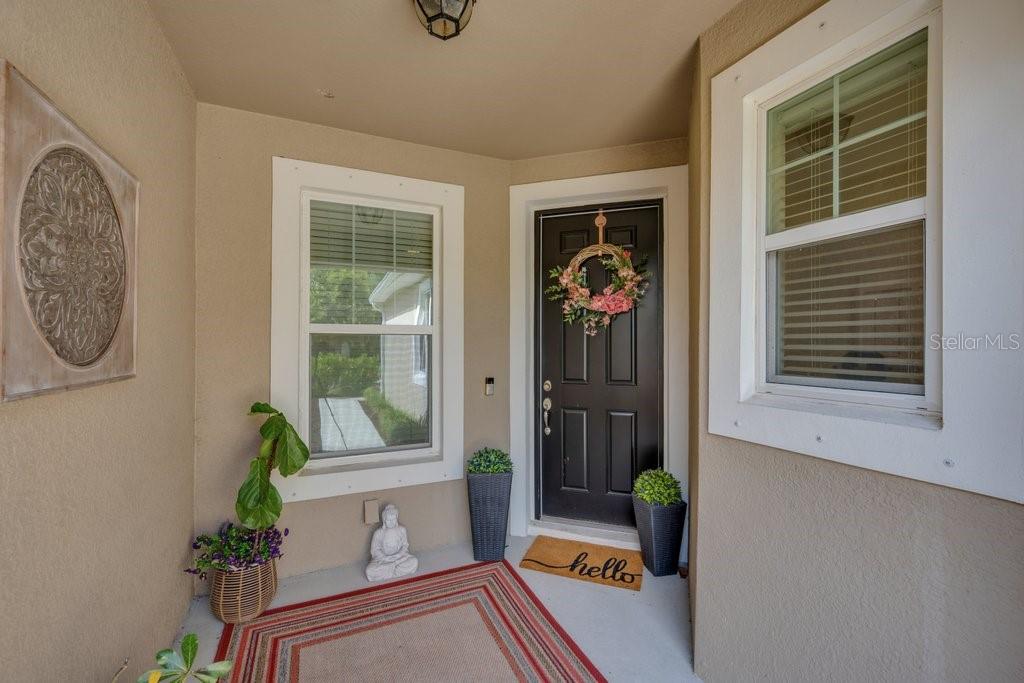 A covered entryway features a black front door, two windows, and potted plants — 11505 CAMBIUM CROWN DRIVE, RIVERVIEW, FL