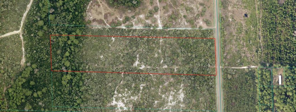 An aerial view shows a rectangular plot of undeveloped, wooded land bordering a paved road — 00 NE 64TH AVENUE, CITRA, FL