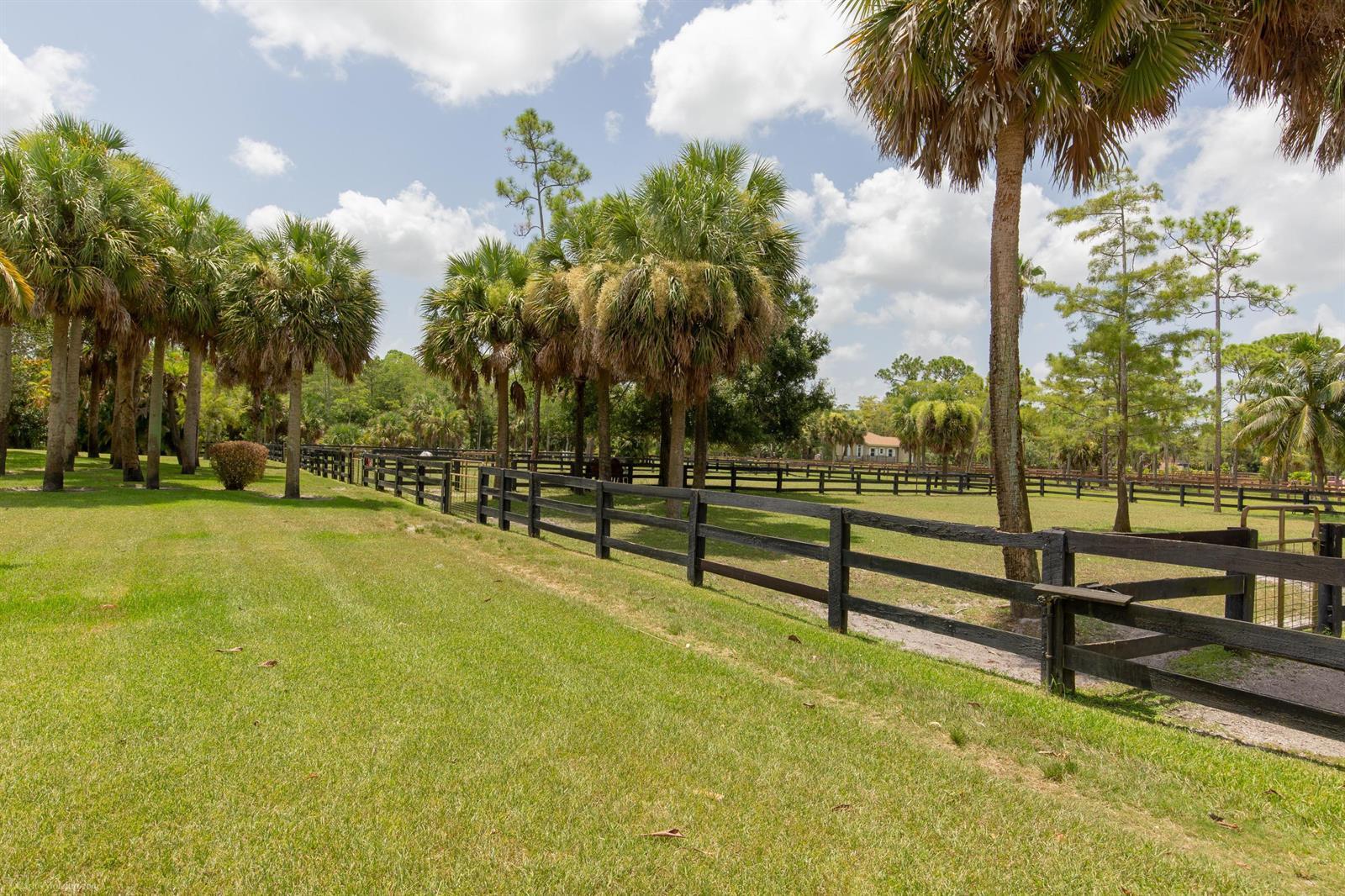 A black wooden fence encloses a grassy pasture dotted with palm trees under a cloudy sky — 1321 Pelham Road, Wellington FL 33414, WELLINGTON, FL