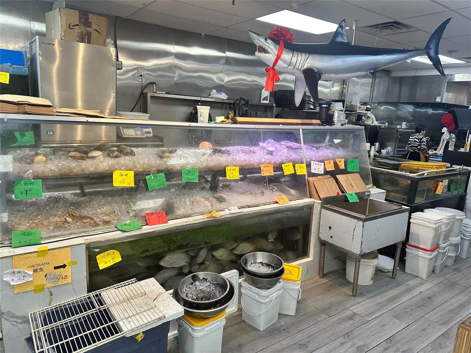 A fish market features a glass display case filled with seafood and a hanging shark model — 2518 N State Rd, Hollywood FL 33021, HOLLYWOOD, FL