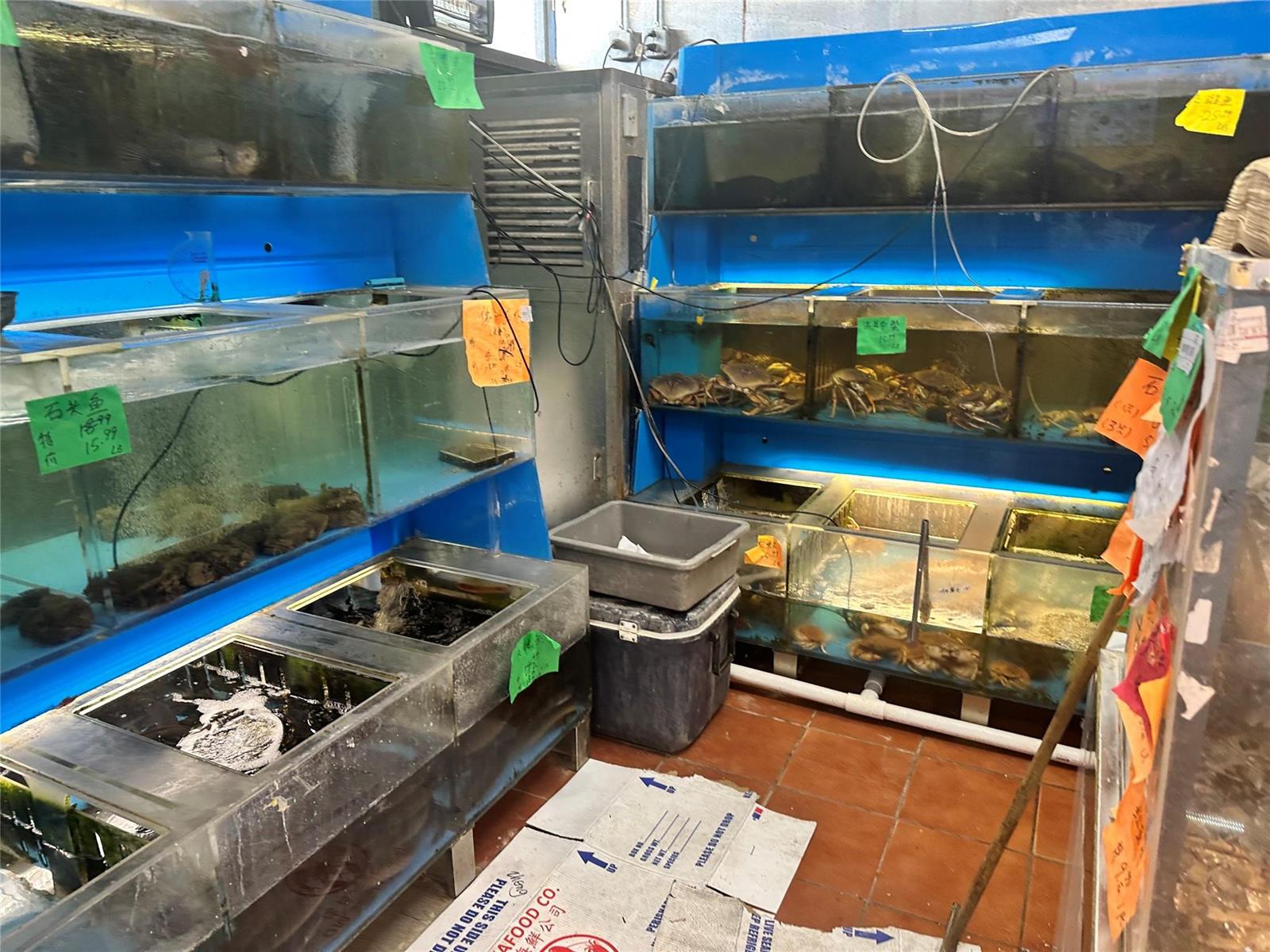 A commercial seafood market features multiple stacked glass tanks filled with live fish and crabs — 2518 N State Rd, Hollywood FL 33021, HOLLYWOOD, FL