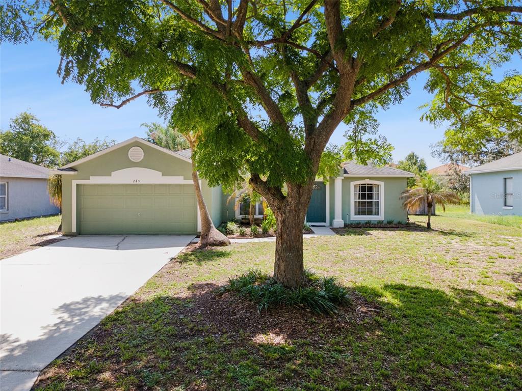 245 FOGGY CREEK ROAD