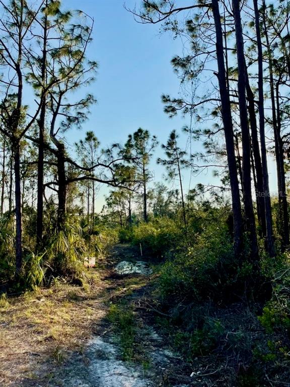 A dirt path leads through a wooded area with tall pine trees under a clear sky — 1215 HARBOUR BREEZE COURT, PUNTA GORDA, FL