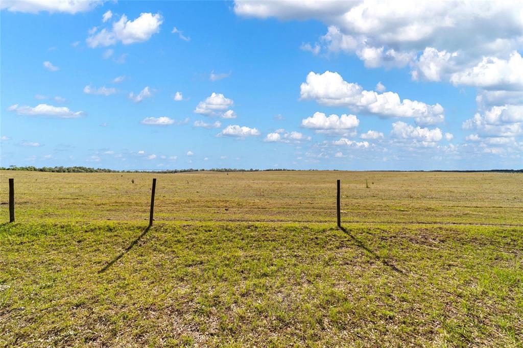 A wire fence runs across a large, flat, grassy field under a blue sky — 1230 SW VALENCIA HEIGHTS AVENUE, DUNNELLON, FL