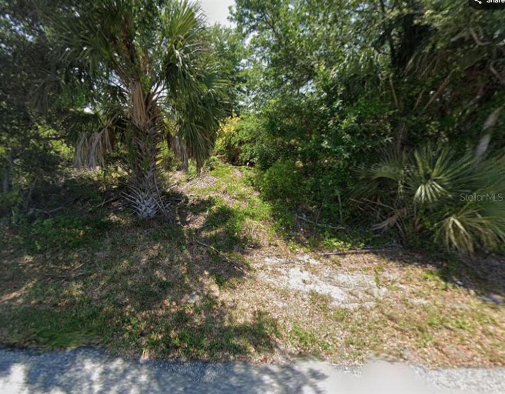 A view of a wooded, undeveloped lot with palm trees and dense vegetation — 13153 EUREKA CIRCLE, PORT CHARLOTTE, FL