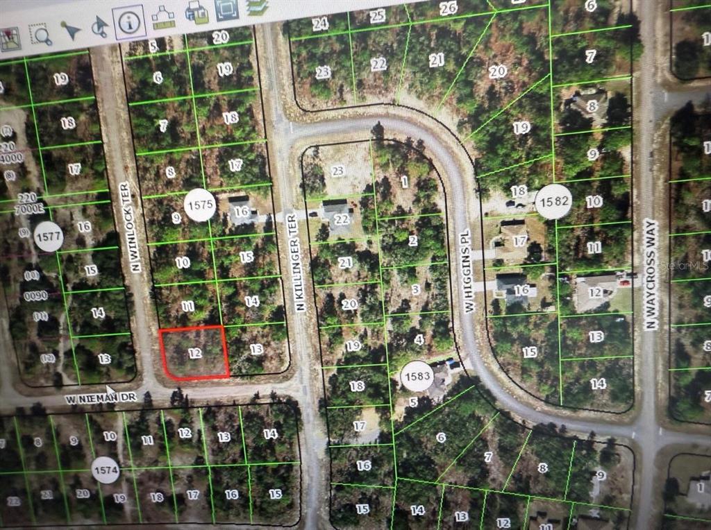 This is a digital map showing property lot lines and street names in a neighborhood — 6501 N WINLOCK TERRACE, DUNNELLON, FL