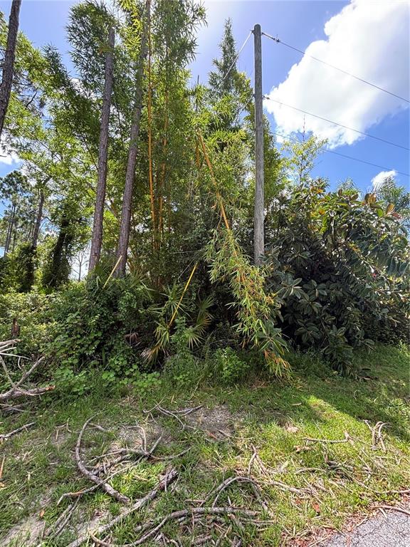 A street view shows a gray house with a garage and a driveway under trees — RENAULT CIRCLE, NORTH PORT, FL