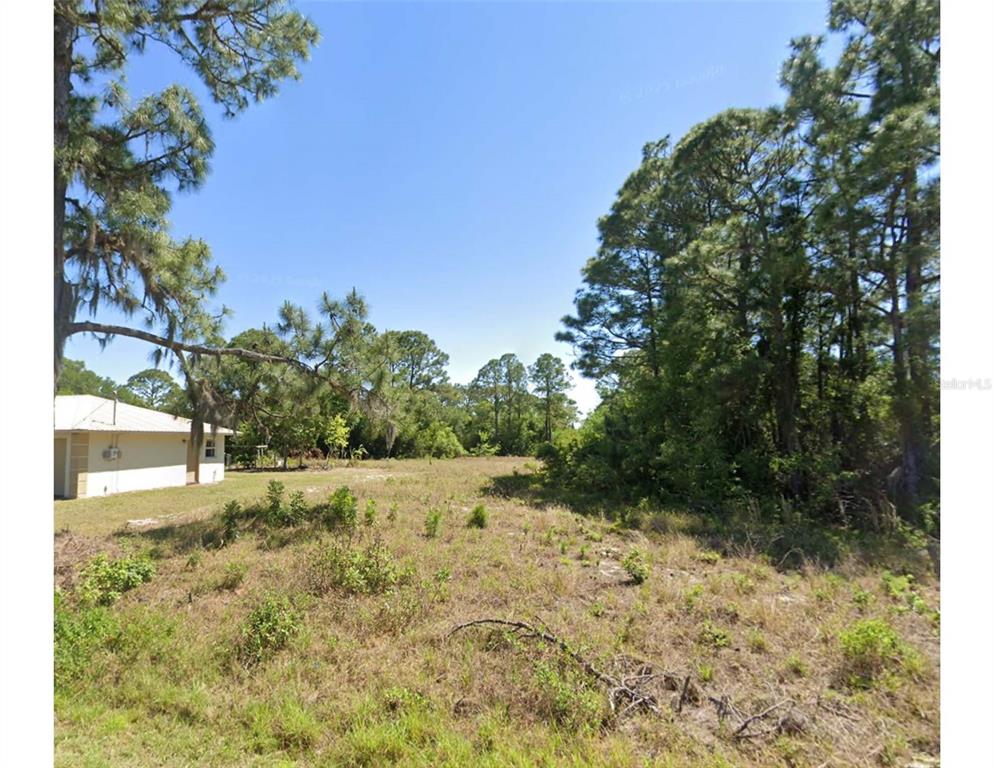 A grassy, undeveloped lot sits next to a house with trees in the background — 217 GLORIA BOULEVARD, LAKE PLACID, FL