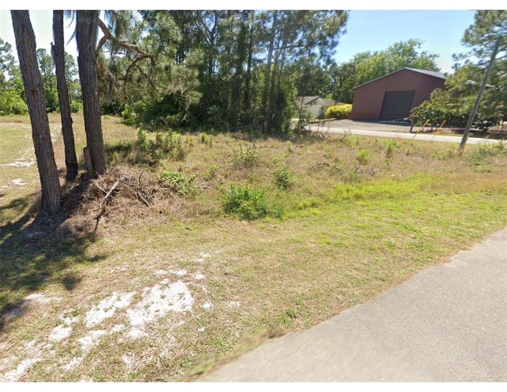 A vacant, grassy lot with several pine trees is bordered by a paved road — 217 GLORIA BOULEVARD, LAKE PLACID, FL
