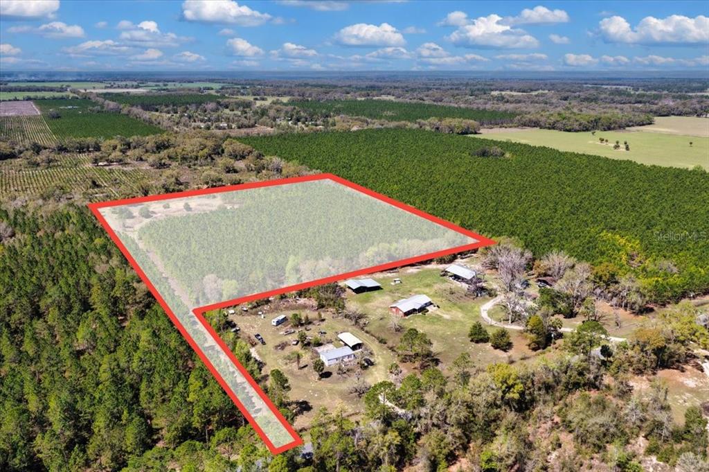 An aerial view shows a rural property with a red-outlined parcel of wooded land — 000 NW 60TH AVE, CHIEFLAND, FL