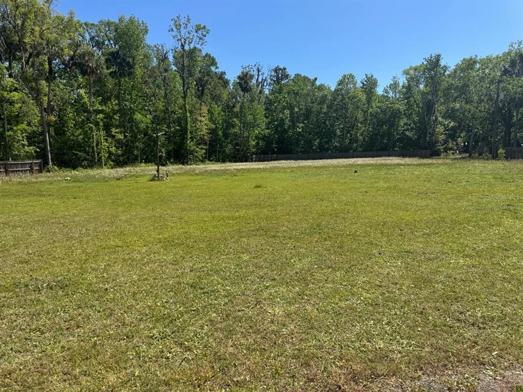 A large, flat, grassy vacant lot bordered by a dense line of trees — 6518 OLD TAMPA HIGHWAY UNIT B, DAVENPORT, FL