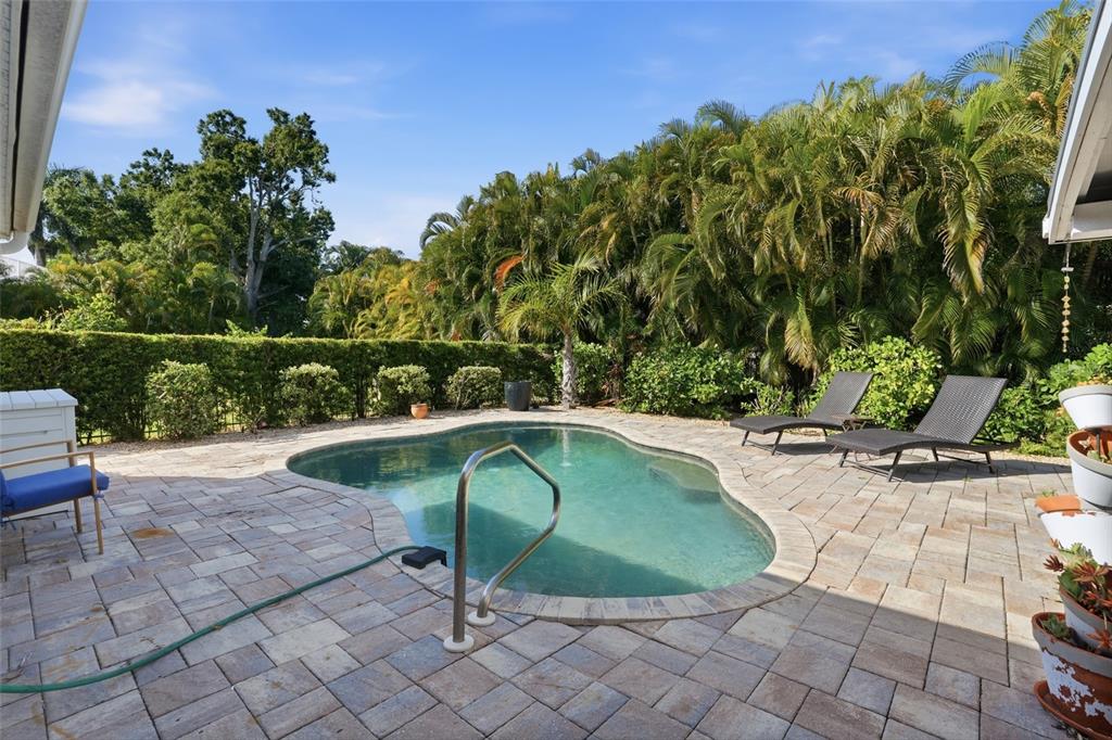 A backyard patio features a kidney-shaped swimming pool, lounge chairs, and lush tropical landscaping — 415 HARVEY STREET, PUNTA GORDA, FL
