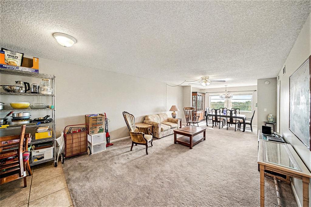 A living and dining area features carpeted flooring, a ceiling fan, and a metal storage rack — 801 83RD AVENUE N UNIT 415, ST PETERSBURG, FL