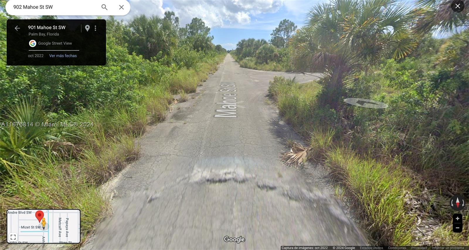 A paved road stretches through a rural, undeveloped area with dense vegetation and palm trees — 902 Mahoe St SW, Palm Bay FL 32908, PALM BAY, FL