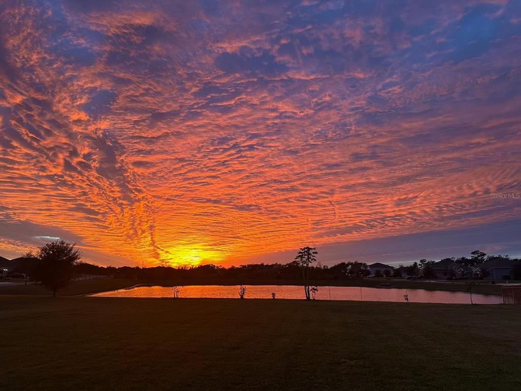 A vibrant sunset glows over a grassy yard and a small pond behind houses — 2206 WEATHERLY WAY, ORLANDO, FL